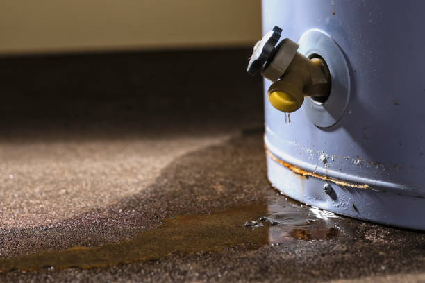 Best Water damage contractors near me  in Mount Sterling, KY
