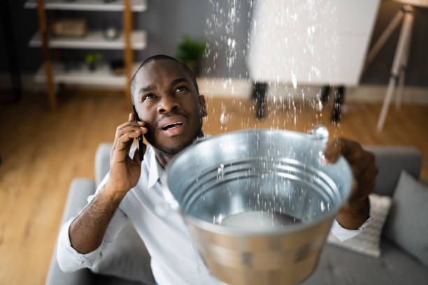 Best Basement water damage restoration  in Mount Sterling, KY