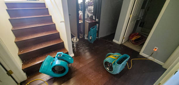 Best Professional water damage repair  in Mount Sterling, KY