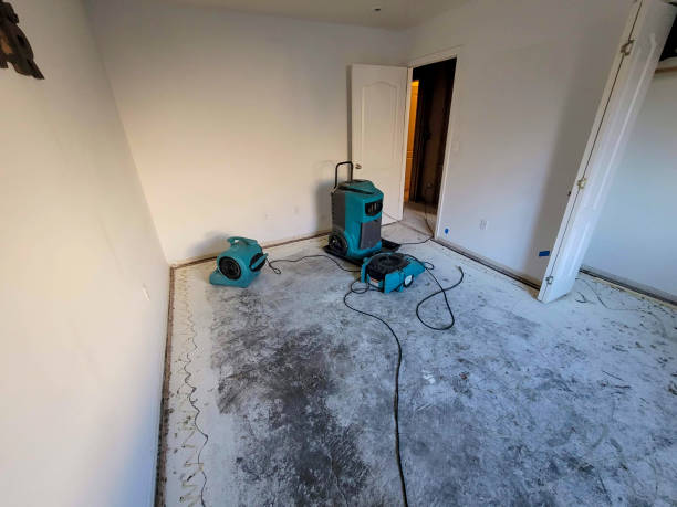 Best Residential water damage restoration  in Mount Sterling, KY