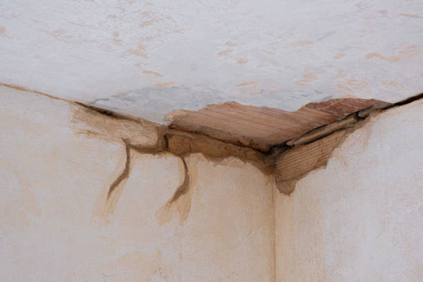 Best Water damage restoration near me  in Mount Sterling, KY