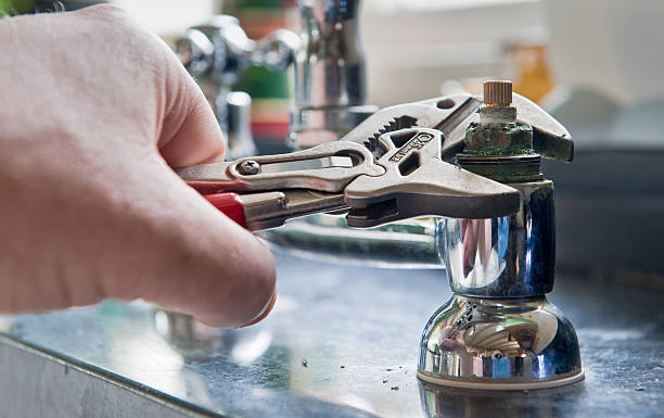 Best Mold removal after water damage  in Mount Sterling, KY