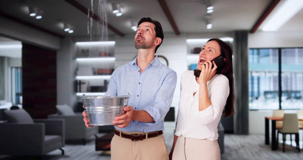 Best Water damage restoration near me  in Mount Sterling, KY